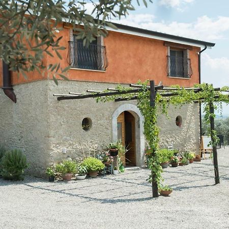 B&B Rifugio Tra Gli Ulivi Campagna Εξωτερικό φωτογραφία