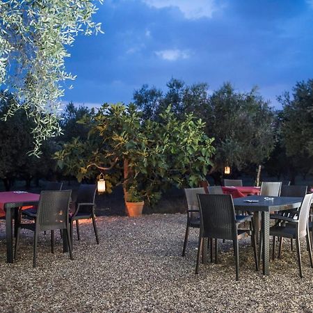 B&B Rifugio Tra Gli Ulivi Campagna Εξωτερικό φωτογραφία