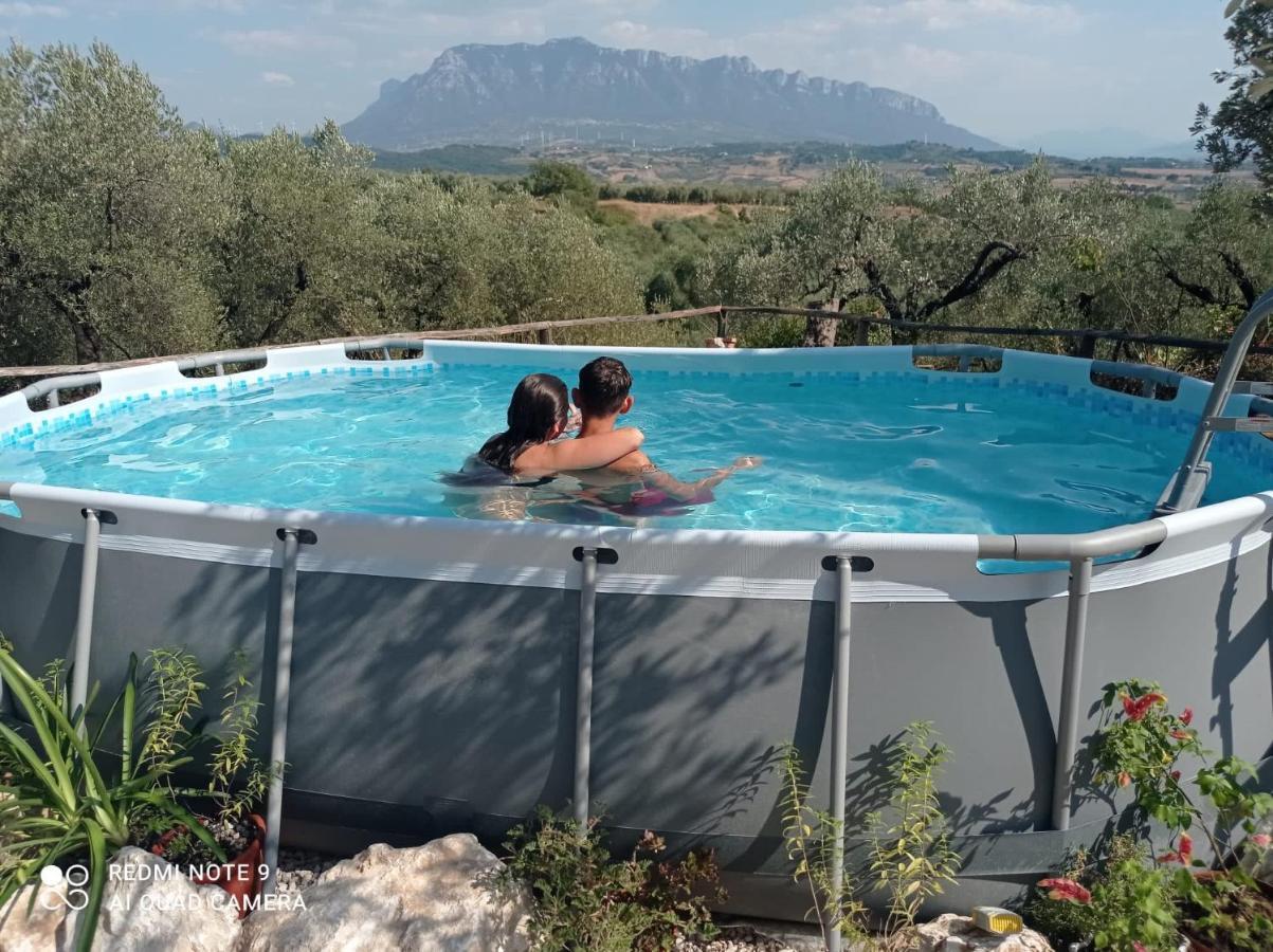 B&B Rifugio Tra Gli Ulivi Campagna Εξωτερικό φωτογραφία