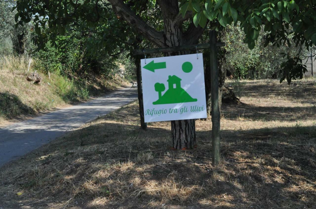B&B Rifugio Tra Gli Ulivi Campagna Εξωτερικό φωτογραφία