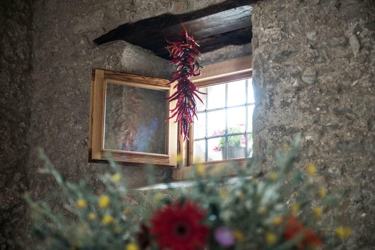 B&B Rifugio Tra Gli Ulivi Campagna Εξωτερικό φωτογραφία