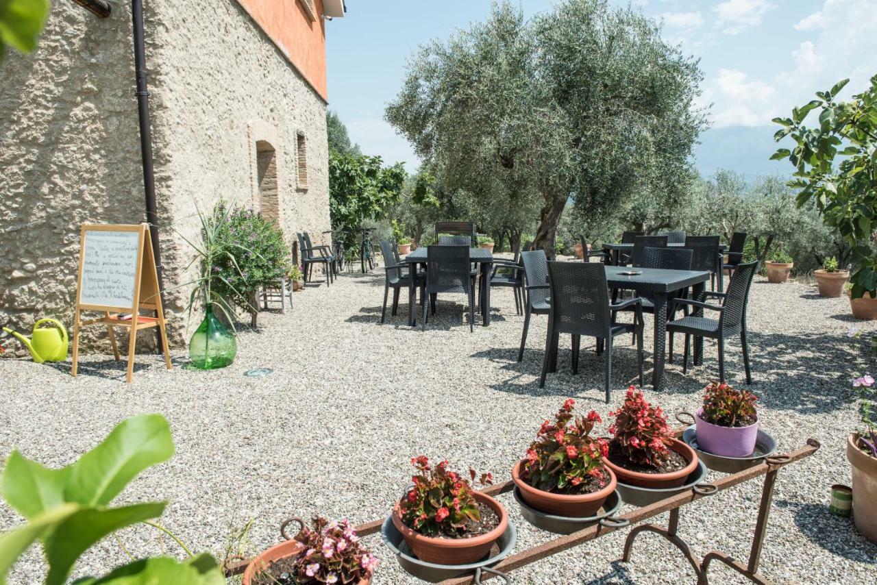 B&B Rifugio Tra Gli Ulivi Campagna Εξωτερικό φωτογραφία