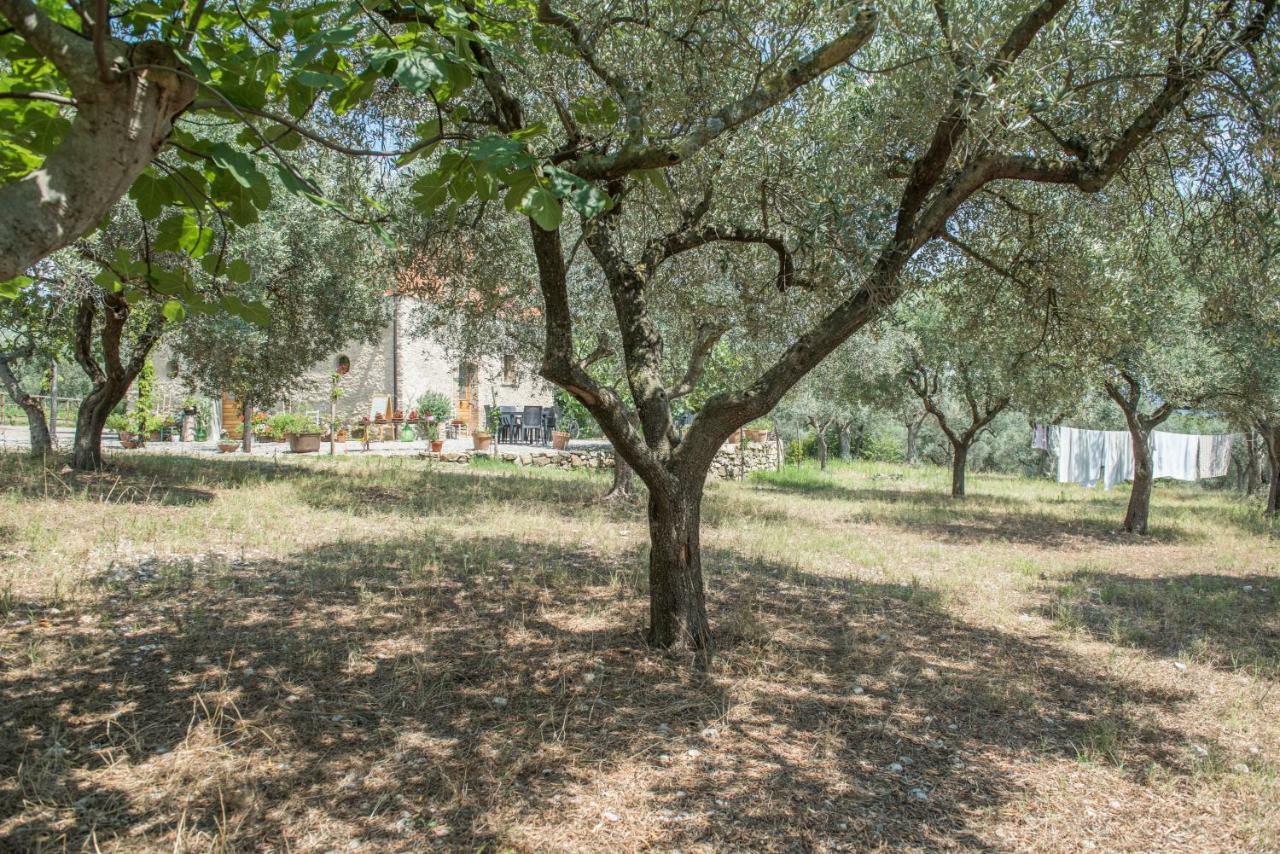 B&B Rifugio Tra Gli Ulivi Campagna Εξωτερικό φωτογραφία