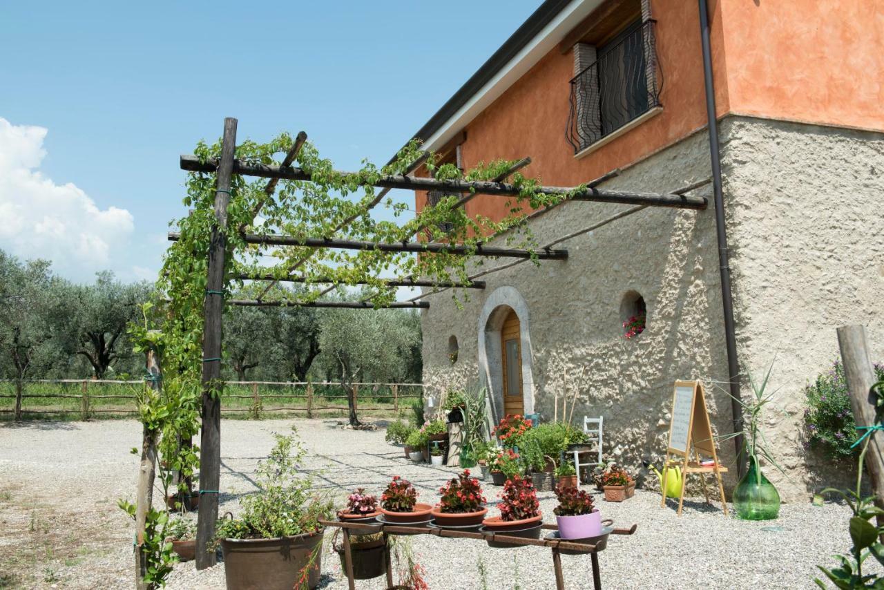 B&B Rifugio Tra Gli Ulivi Campagna Εξωτερικό φωτογραφία