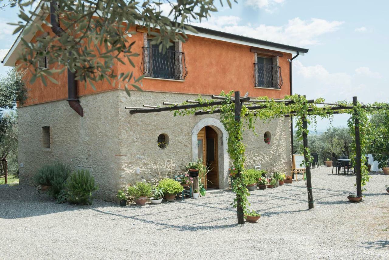 B&B Rifugio Tra Gli Ulivi Campagna Εξωτερικό φωτογραφία