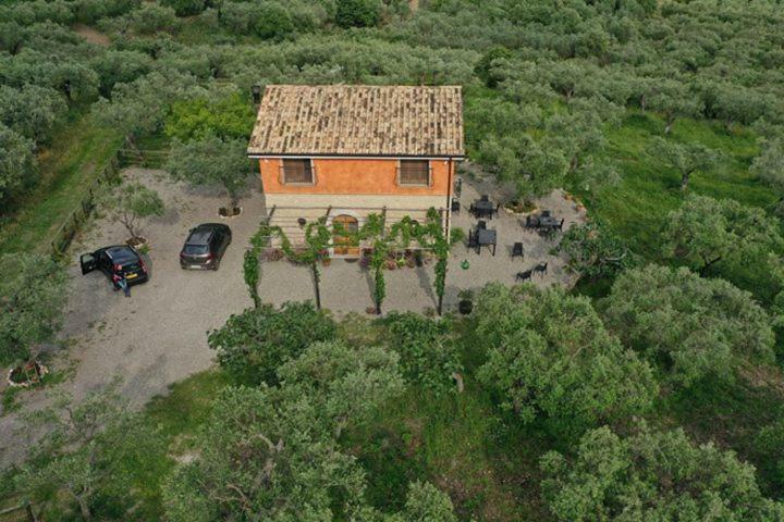 B&B Rifugio Tra Gli Ulivi Campagna Εξωτερικό φωτογραφία