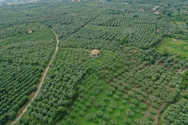 B&B Rifugio Tra Gli Ulivi Campagna Εξωτερικό φωτογραφία