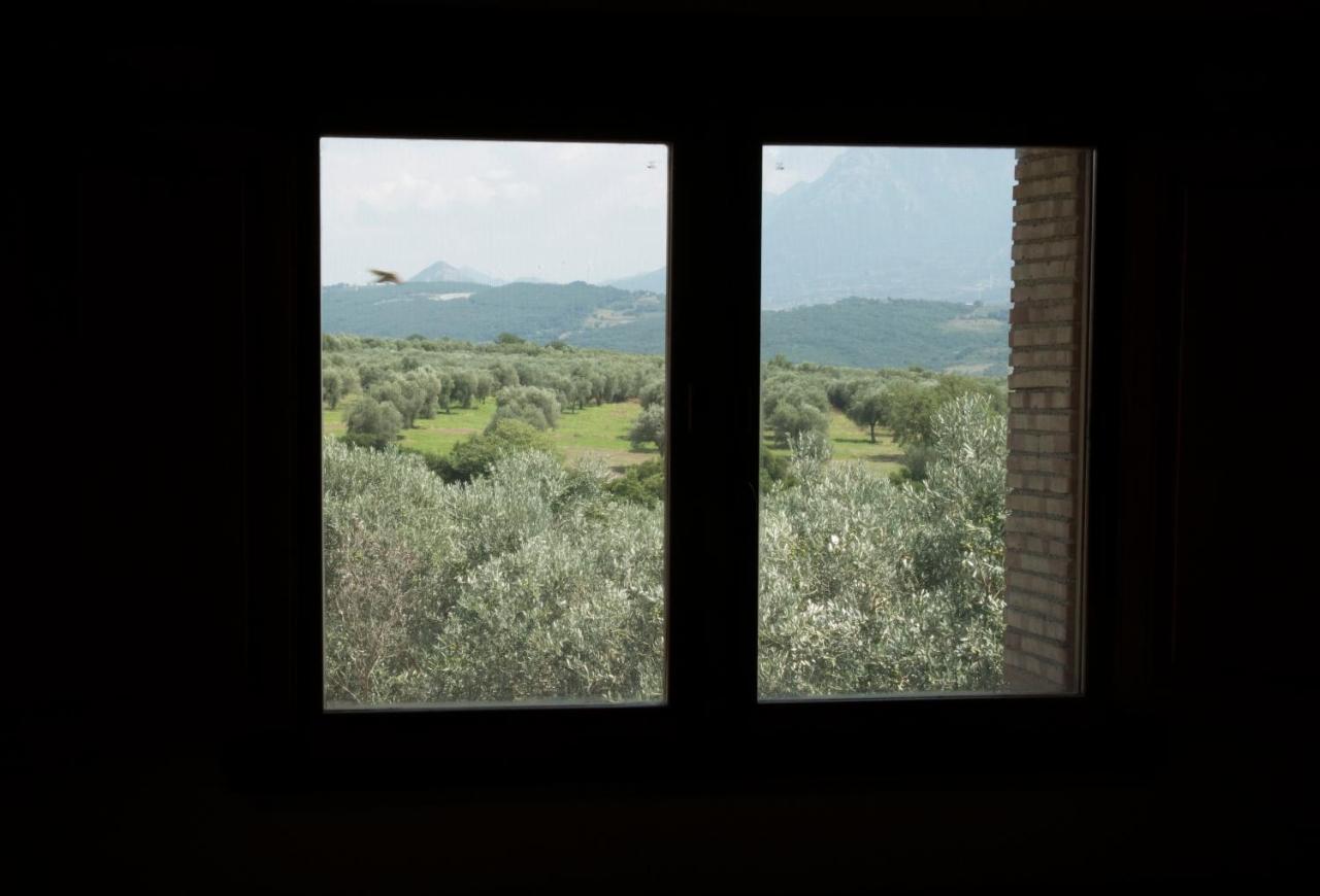 B&B Rifugio Tra Gli Ulivi Campagna Εξωτερικό φωτογραφία