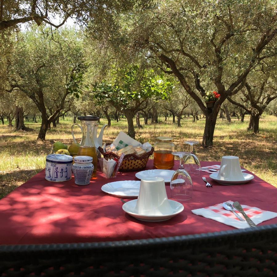 B&B Rifugio Tra Gli Ulivi Campagna Εξωτερικό φωτογραφία